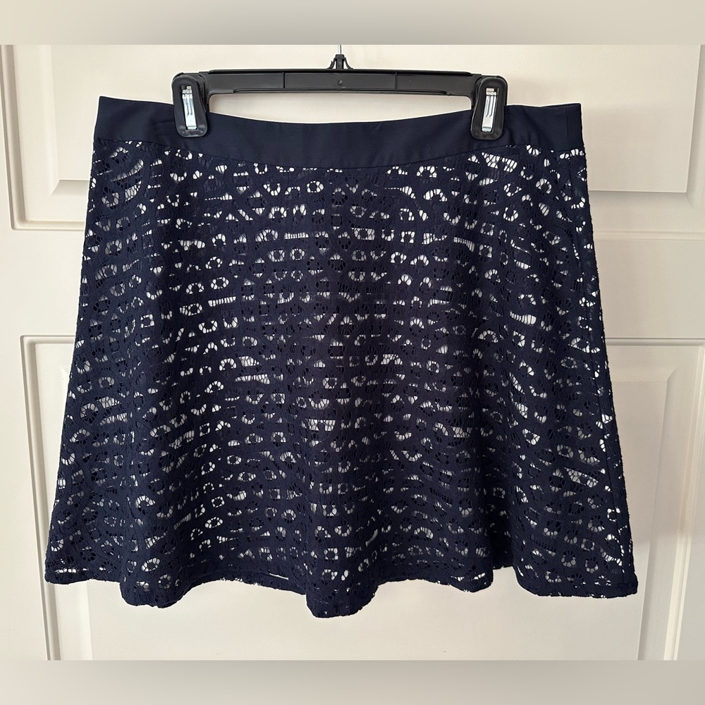 The Limited Navy Blue Striped Lace Skirt